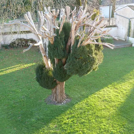 Bed & Breakfast Logis De L'arceau Celles (Charente-Maritime)